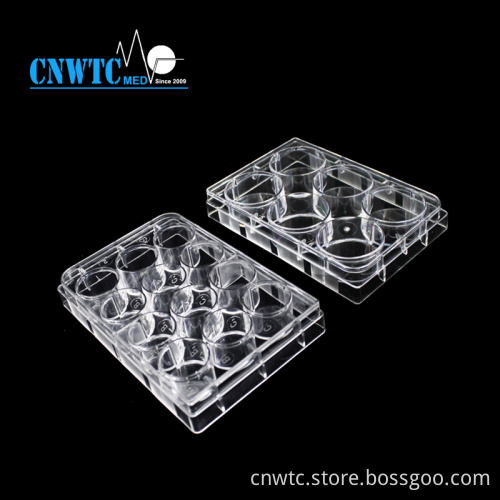 24 Well Tissue Culture Plate Laboratory Equipment: Comprehensive Resource and Product Guide